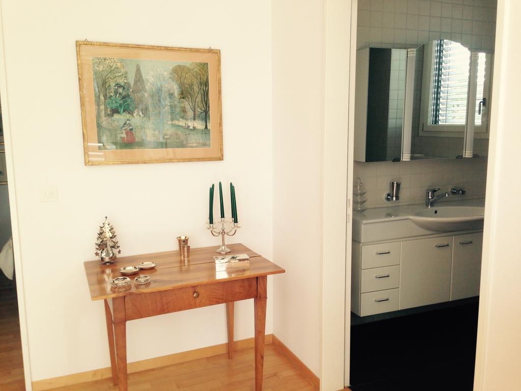 Avliving City Flat Basel With Roof Garden Kültér fotó